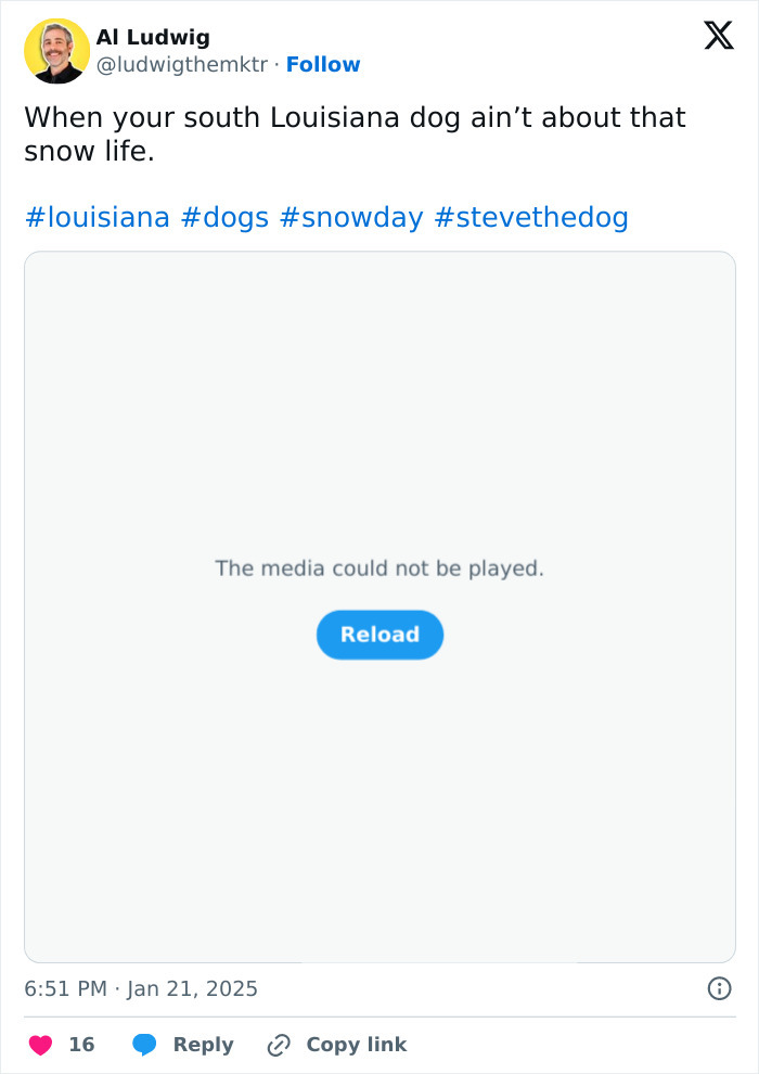 The Tail-Wagging Friends Of Louisiana Have Spoken