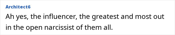 Comment by Architect6 mentioning an influencer as a narcissist, related to American tourist and baby wombat.