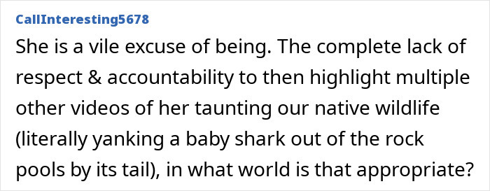 Text expressing outrage about an American tourist's treatment of wildlife, mentioning baby wombat snatching.