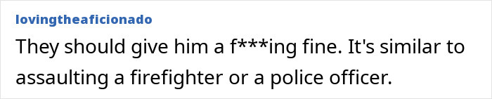 Comment expressing that attacking a lifeguard after saving a boy is like assaulting emergency personnel.