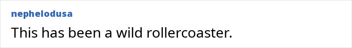 BookTube crisis comment: 'This has been a wild rollercoaster.