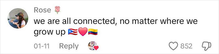 Comment by Rose about unity, highlighting flags and emoji, related to shady adoption topic.