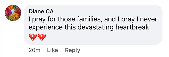 "Diane CA's comment on devastating heartbreak with broken heart emojis.