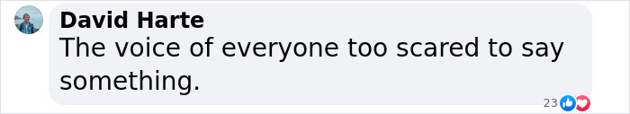 Comment by David Harte saying, "The voice of everyone too scared to say something.