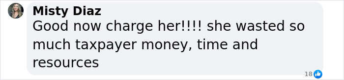 Comment mentioning taxpayer money and resources regarding Hannah Kobayashi.