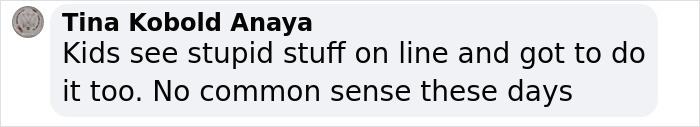 Comment discussing online challenge risks among teens, highlighting lack of common sense.
