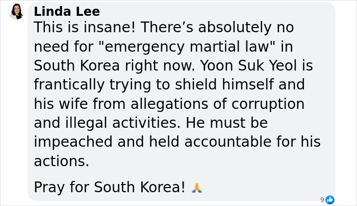 Linda Lee's statement on South Korea's martial law rejection crisis and political accountability concerns.
