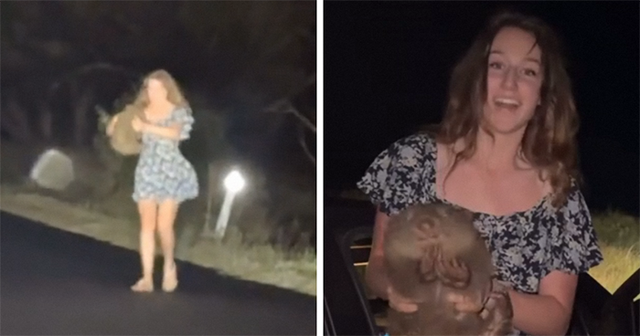Aussies Call To Deport American Tourist After She Snatches A Baby Wombat From Its Mother