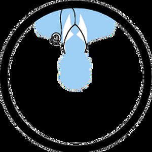 muhammadsafi avatar