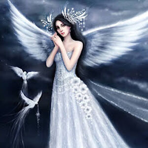 nevakelley avatar