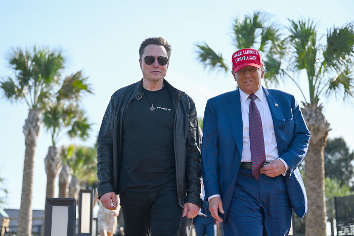 Elon Musk and Donald Trump walking outdoors with palm trees in the background, showcasing their complex relationship.