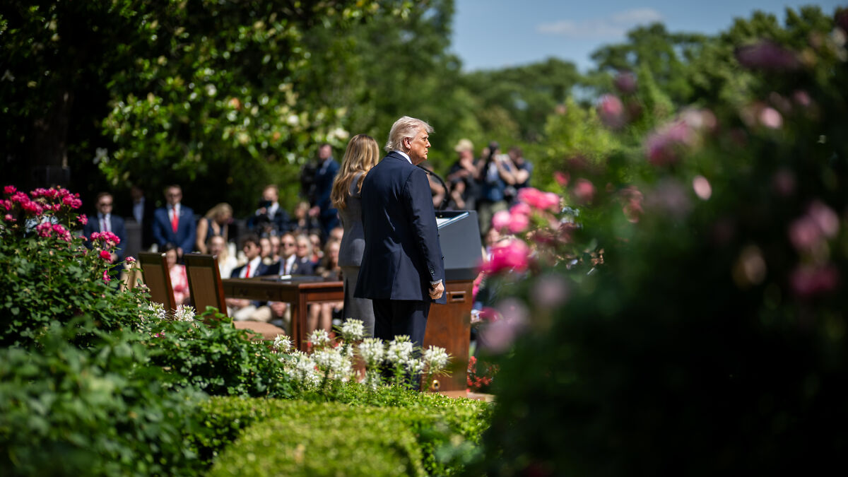 Donald Trump and Melania Trump at a White House event in the Rose Garden with blooming roses and greenery around them.