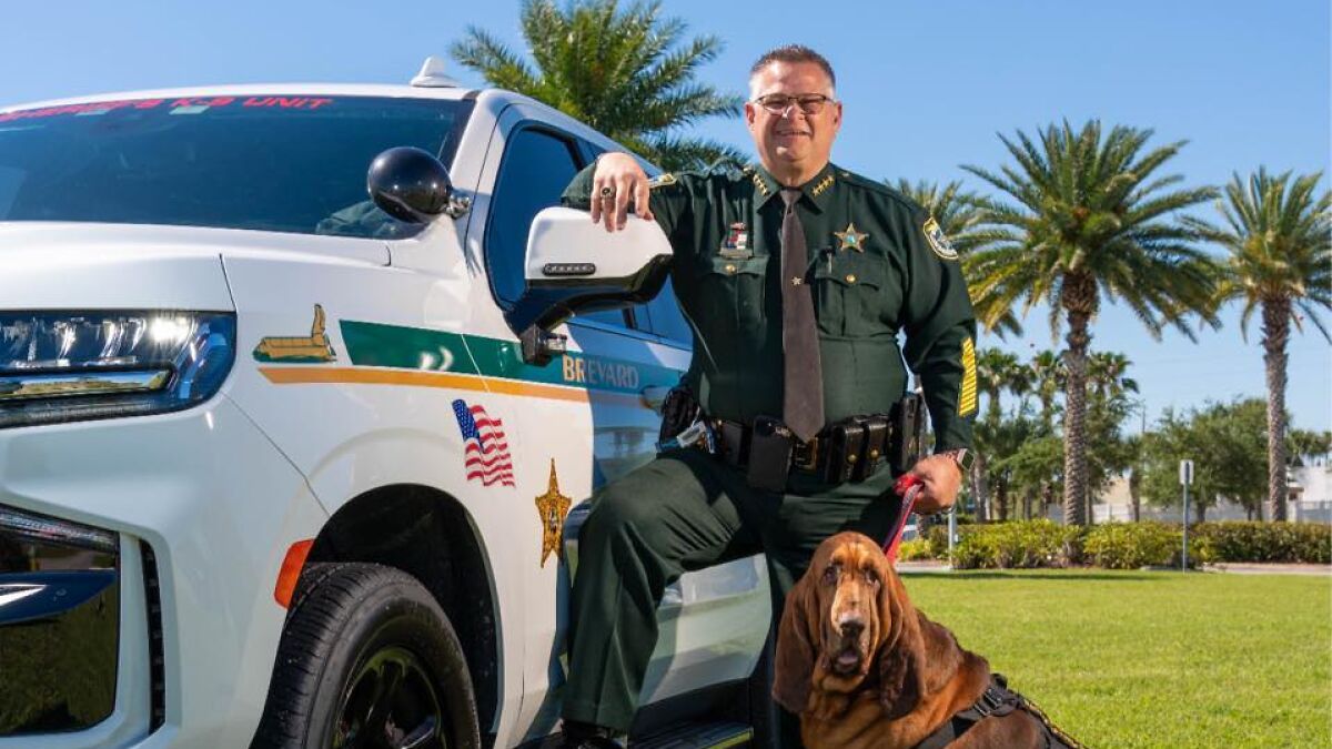 Florida sheriff in uniform standing by patrol vehicle with dog, posing confidently outdoors with palm trees in background.