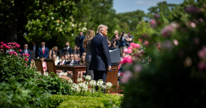 Trump White House Starts Paving Rose Garden 5 Years After Melania’s Much-Debated Makeover