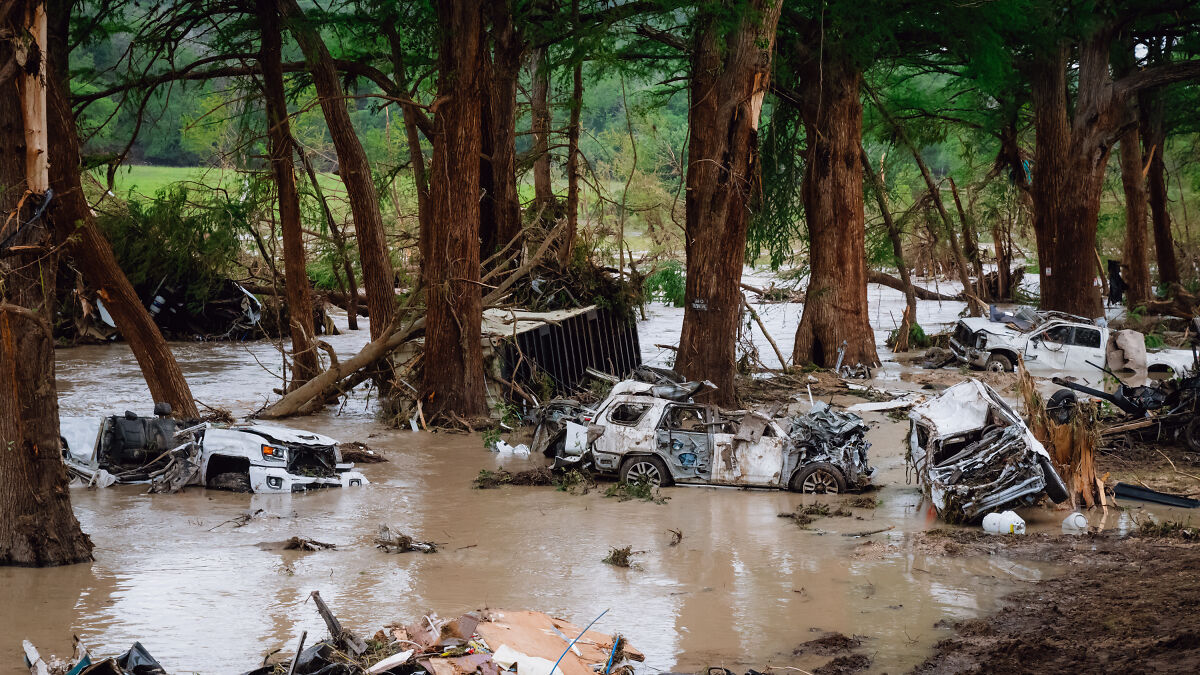 Flooded forest area with damaged cars partially submerged, illustrating severe flooding and destruction after a natural disaster.
